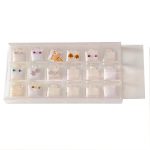 Charola con 18 Divisiones con Tapa